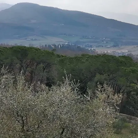 La Maison Di Elena
